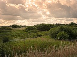 IMGP6114-1 Borris Soenderland